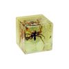 REALBUG Real Spider Cube Desk Decoration