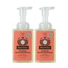 Moon Valley Herbal Foaming Hand Soap, Vegan (Candy Cane, Recyclable Bottle)