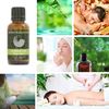 Aniseed 100% Pure Essential Aromatherapy Oil 30ml