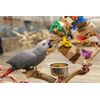 Softwood Wreath - Parrot Toy