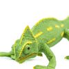Safari Veiled Chameleon Baby, Green,Large