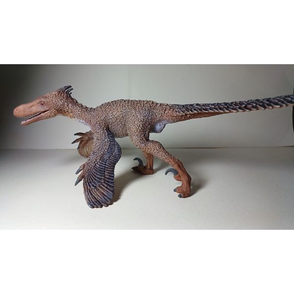 2024 NEW Collecta Dinosaur Toy / Figure Velociraptor with movable jaw