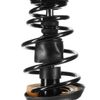 Front Passenger Side Strut w/ Coil Spring Assembly for Chevrolet Malibu Limited