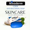 Nixoderm Antibacterial Soap For Skin Problems 120g (Cool Mint)