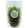 FirstChoiceCandy Gummy Bears (Mango, 2 Pound (Pack of 1))