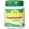 cdVet PropolisHerbal Capsules, 100-Count