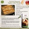 Tastefully Simple Nana's Apple Cake Mix, 16.5 Ounce