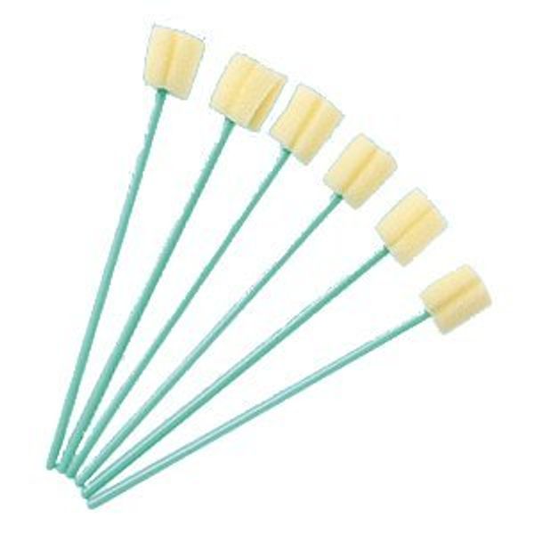 JM Sponge Brush 10 Pieces