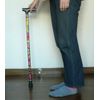 Walking Stick 1 Legs JL – 920 – 3 