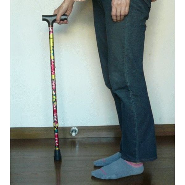 Walking Stick 1 Legs JL – 920 – 3 