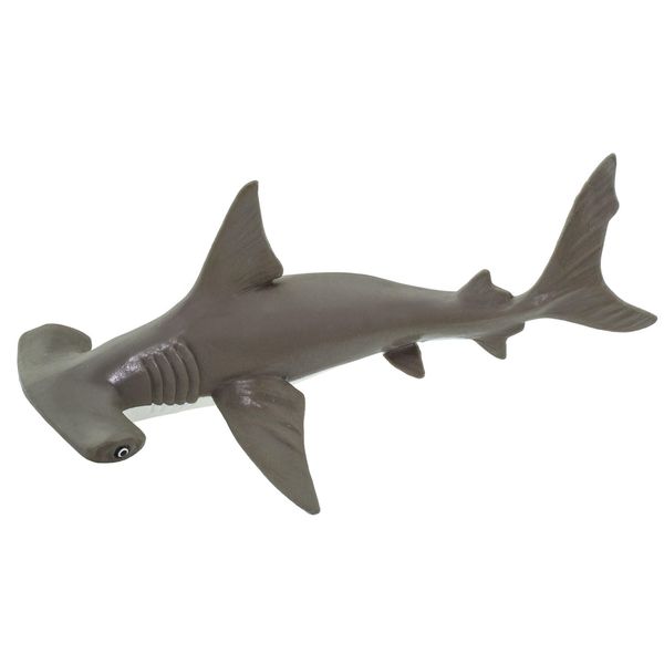 Safari Ltd. Baby Hammerhead Shark Figurine - Detailed 7" Model Figure - Educational Toy for Boys, Girls, and Kids Ages 18M+