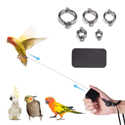 Swirge 19.69Ft Retractable Bird Leash, with 5 Different Size Foot Ring and Feeder Box, Anti-Bite Parrot Harness Bird Flight Training Rope for Budgies, Cockatiels, Psittacula Longicauda, Mini Macaws