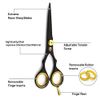 SHARPY - Professional Hair Cutting Scissors Set 2Pcs Thinning Scissors Hairdressing Barber Scissors Set 5.5" with Razor Hand Made from Japanese Steel J2 & Presentation Case Set
