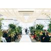 6 Panels Ivory Ceiling Drapes for Wedding, 5Ftx30Ft Ceiling Drapes Cheesecloth S