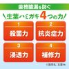 [Bulk Purchase] Hikishime Raw Leaves (Shouyo), Prevents Pyorrhea, Medicated Toothpaste, Japanese Chinese Herb Flavor, 3.5 oz (100 g) x 2 (Glasses Cleaner Included) (Quasi-Drug)