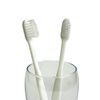 toysfan Disposable Toothbrushes for Commercial Use, Toothbrush, Toothpaste, 100 Pieces, Oral Hygiene Cleaning, Industrial Toothbrush, Toothbrush, Brush