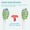 GottaShine Replacement Toothbrush Heads,8 Pack