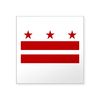CafePress DC Pride Rectangle Sticker Square Bumper Sticker Car Decal
