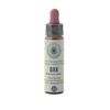 Oak No. 22 Princeps Original Bach Flower Oak Drops