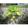 Takasho Metal Hanging Block Hook M