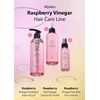 A’PIEU Raspberry Vinegar Hair Shampoo 16.9 fl.oz / 500 ml -Dandruff