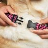 Buckle-Down 9-15" Brains Black/Pink Plastic Clip Collar, Small