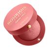 Bourjois Fard Joues 95