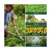 Berry&Bird Garden Hedge Shears,19.88''