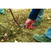 Felco FEL2 Model 2 Original Secateurs