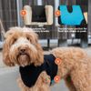 Suitical Recovery Suit Dog, Large, Black