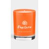 Malibu Apothecary Neroli Jasmine Candle