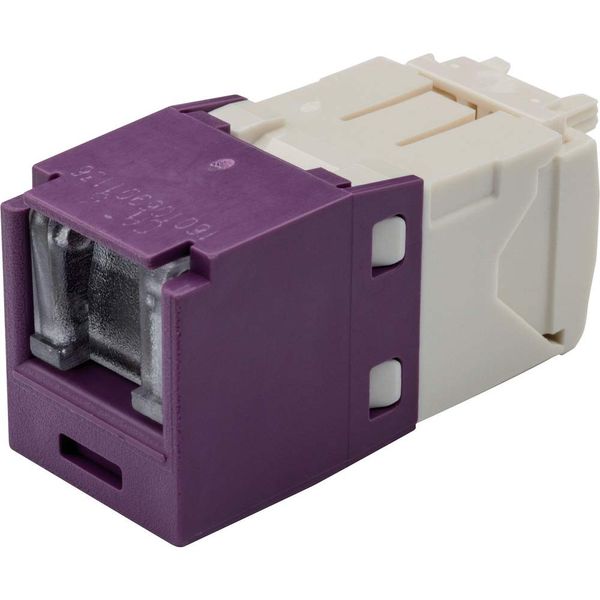 Panduit Cat6 Modular Jack with Shutter Purple CJH688TGVL