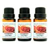 Crazy Candles Cranberry Chutney 3 Bottles 1/2 FL Oz Each (15ml) Premium Grade Scented Fragrance Oil