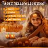 EverBrite 5Pack Halloween Pumpkin Headlamp 2 Modes LED Head Lamp Adjustable Band