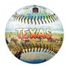 EnjoyLife Inc Texas Souvenir Baseball