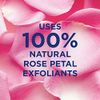 St. Ives Gentle Smoothing Face Scrub Our Gentlest Scrub Yet Rose Water and Aloe Vera Made with 100 percent Natural Exfoliants, Paraben Free, Oil-Free, Dermatologist Tested 6 oz