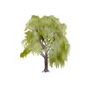 CafePress WEEPING WILLOW Sticker Square Bumper Sticker Car Decal