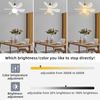 Noiseless Ceiling Fan - Remote Control, 30W Brushless Design for Bedroom /Office