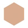 Integrate Gracy Moist Pact EX Ochre 30 (Refill), Dark Skin Color (SPF22, PA++), 0.4 oz (11 g)