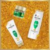 Pantene Core Smooth & Sleek Shampoo 500ML