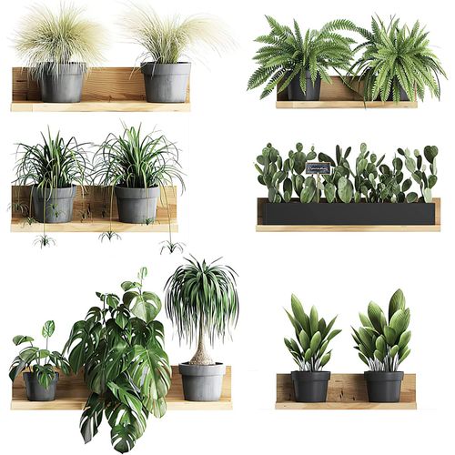 3D Wall Stickers Living Room, DAWRIS 3D Wall Art Stickers, Realistic 3D Window View Scenery Wall Sticker, Vase Wall Decal, Plant Wall Stickers for Bedrooms Bathroom Kitchen Wall Decor(Set of 2)