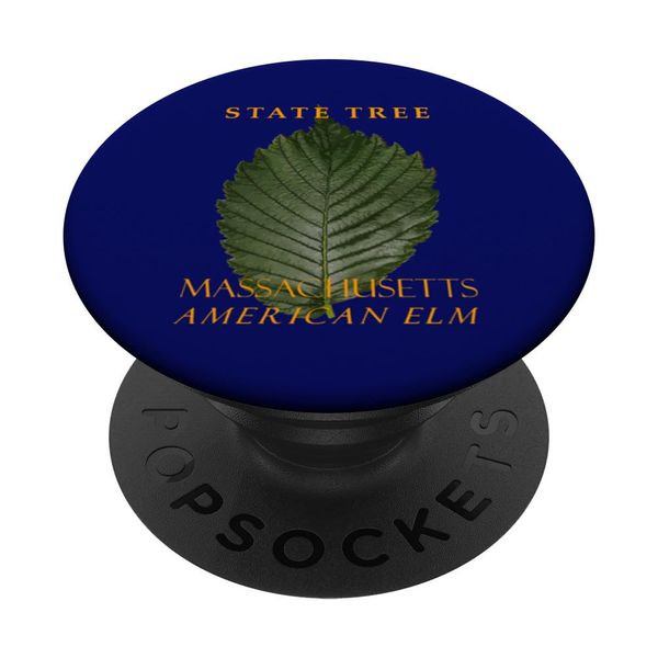 Massachusetts Territory Tree The American Elm PopSockets Adhesive PopGrip