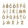Initial Anklet, Gold Initial Anklet, Crystal Initial Anklet, Gold Crystal Initial Anklet, (M Pendant)