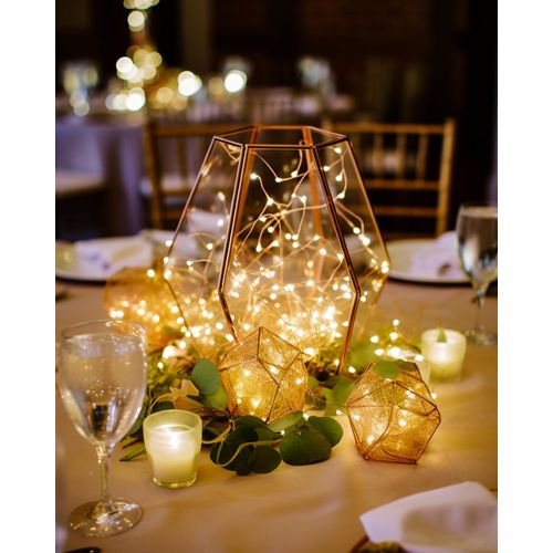 Homemory 4 Pack 20 Ft 60 LED Fairy Lights Battery Operated Christmas Lights with Remote Waterproof 8 Modes Firefly Twinkle String Lights for Party Bedroom Wedding Halloween Decorations