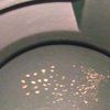 DNJ 4 oz Gold Paydirt 0.10 Gram Gold Minimum