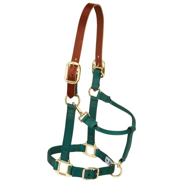 Weaver Leather Nylon Adjustable Breakaway Horse Halter, Average, Hunter Green