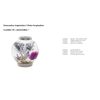 BiOrb 46136.0 Starfish Set 3 Pink Aquariums