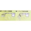 Eyelap Overglass Protective Glasses Eye-Wrap 3 Spectacles 2021-PCF