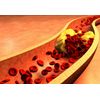 cholesterol lowering - ORGANIC GREENS PREMIUM COMPLEX - garlic bulbils 1Bottle