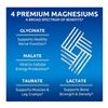 4 in 1 Magnesium Complex, 2 PACK, Glycinate, Malate, Taurate, Lactate, 120 caps